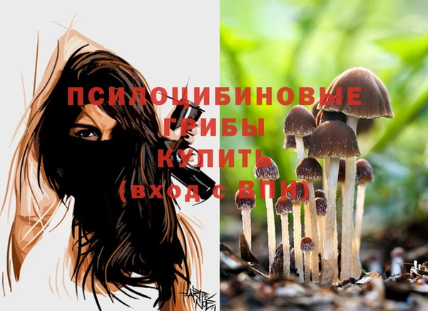 прущие крисы Армянск