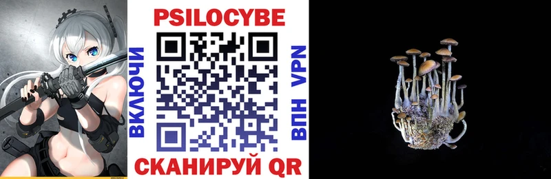 Галлюциногенные грибы Psilocybe  Кологрив 